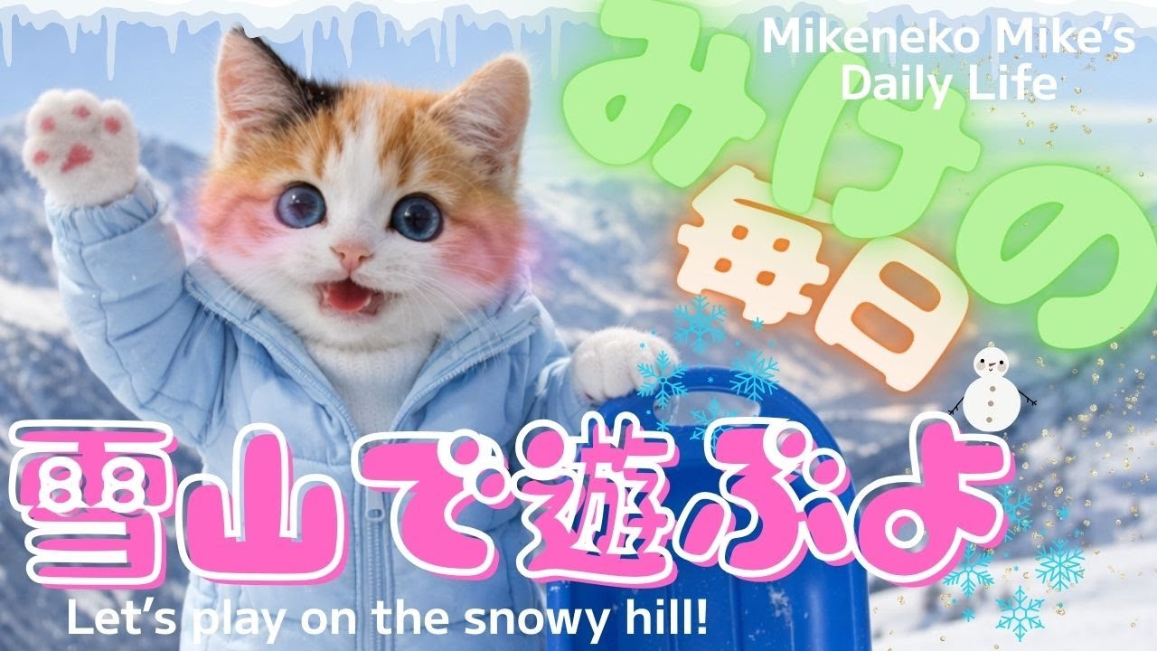 『三毛猫みけの毎日』雪山に行くよ♡Mikeneko Mike’s Daily Life .　Let’s play on the snowy hill!　冷た〜い&ほっこりの巻