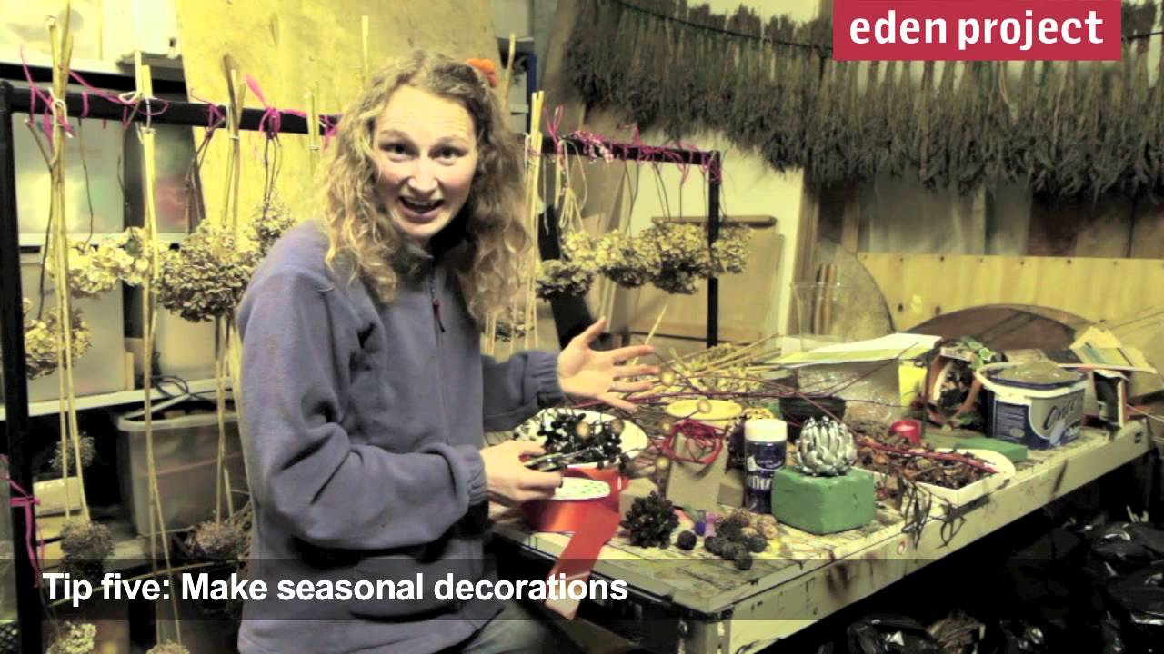 10 tips for gardeners in December from the Eden Project