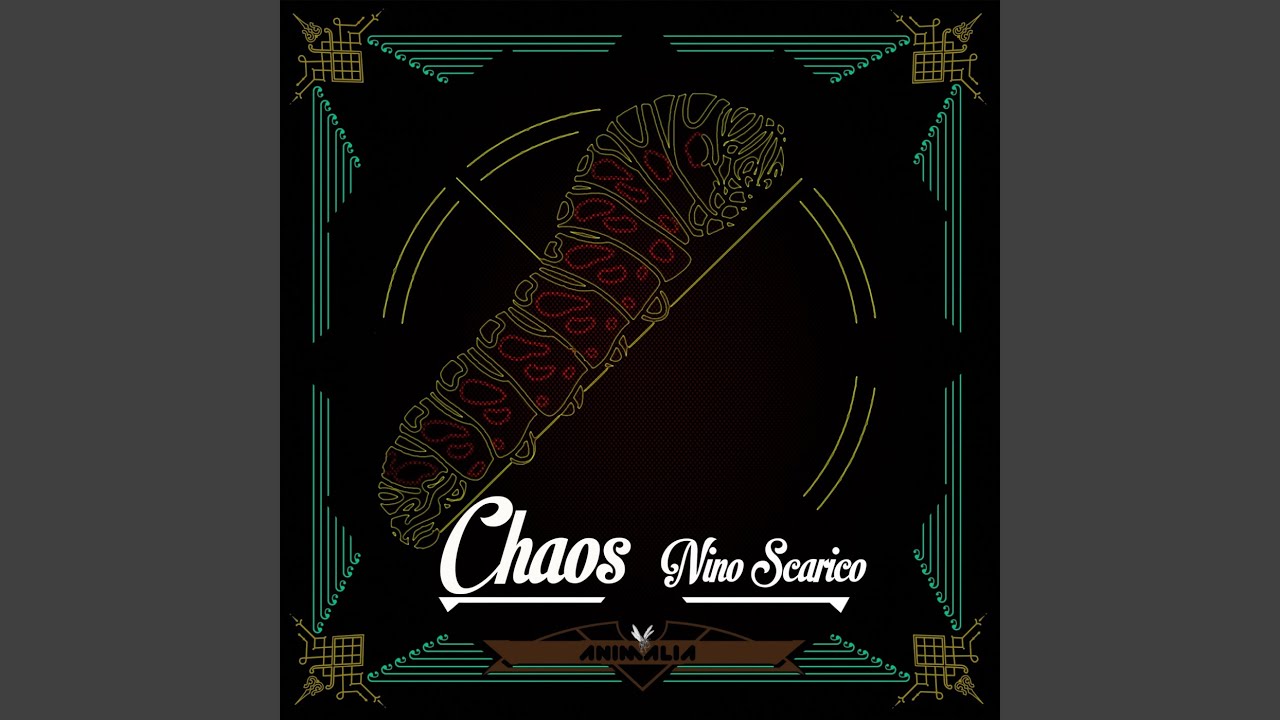 Chaos