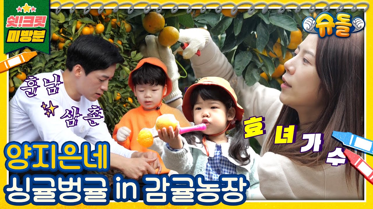 [독점공개📹미방분] CF 느낌 팡팡🍊슈퍼맘 양지은네&훈남 삼촌과 새콤달콤 감귤 따기 in 제주도 [슈돌유튜브]
