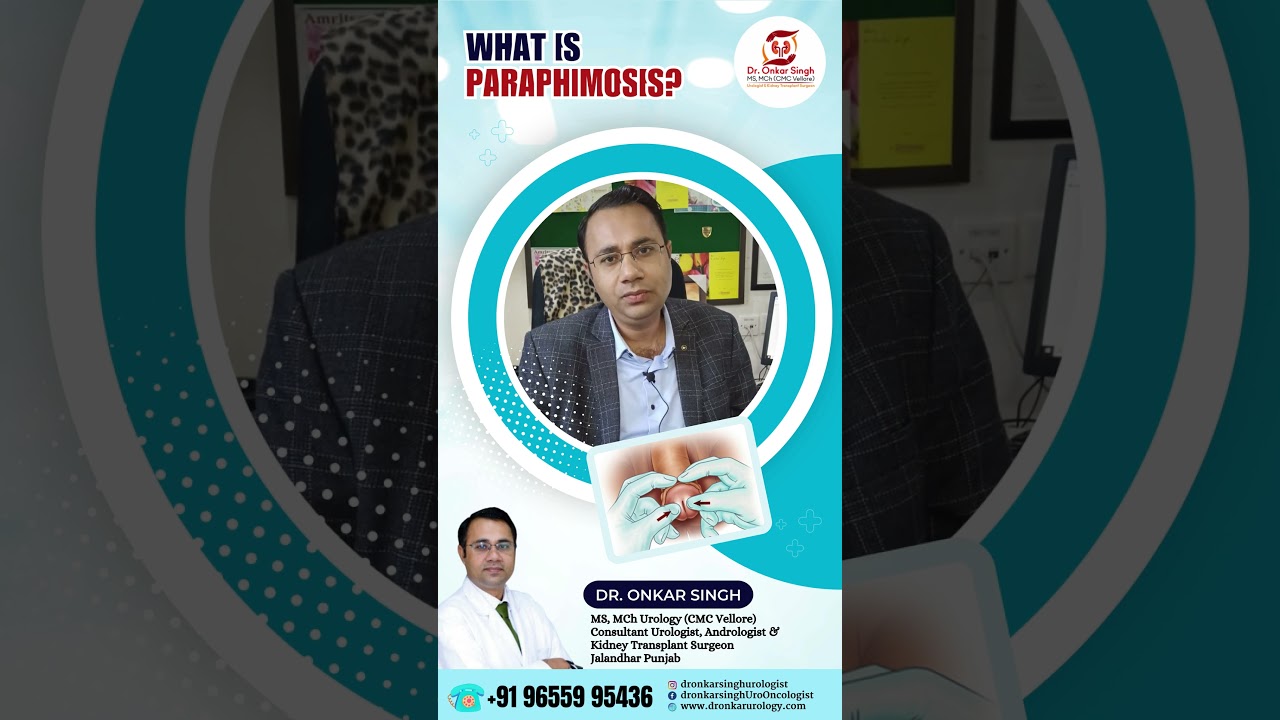 𝗪𝗵𝗮𝘁 𝗶𝘀 𝗣𝗮𝗿𝗮𝗽𝗵𝗶𝗺𝗼𝘀𝗶𝘀 |