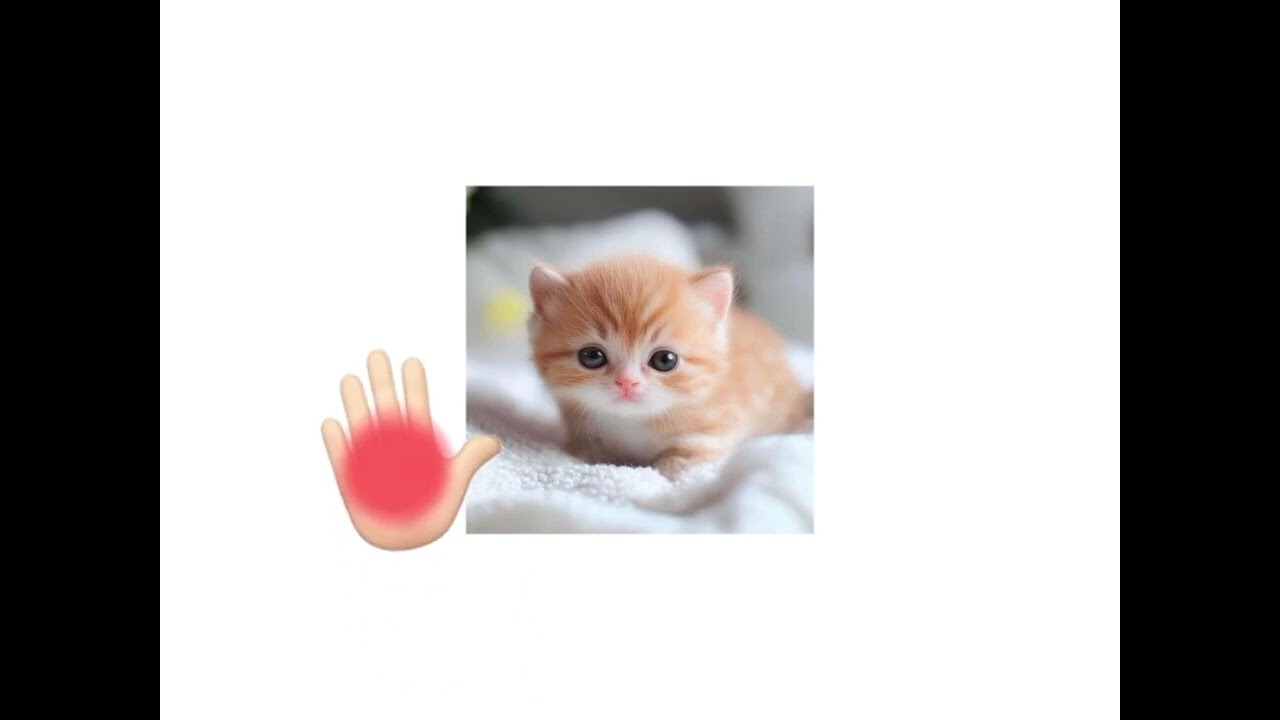 Cute cat mixing color #mixingcolors #cutecats 