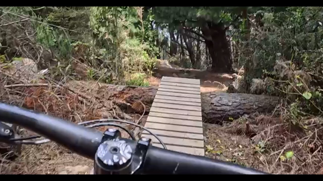 Signal Hill MTB, Dunedin