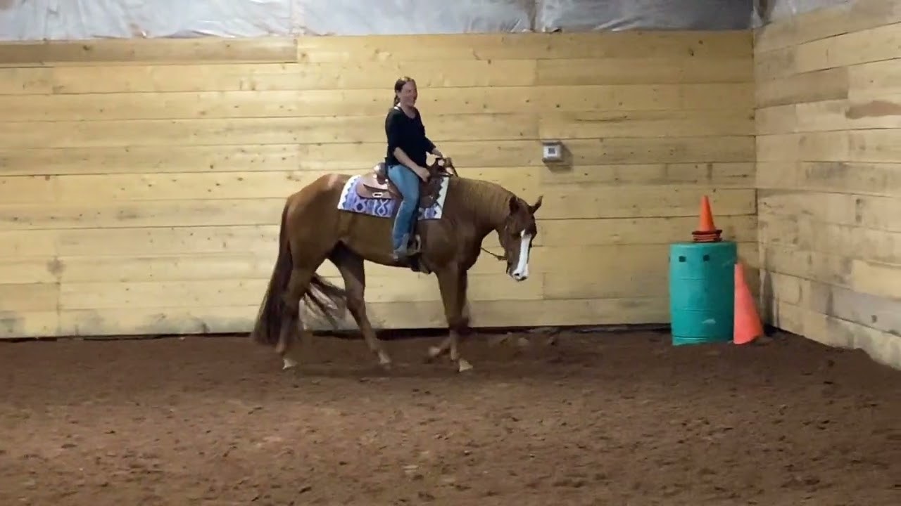 Gunna Be Something ‘23 ApHC Mare 
