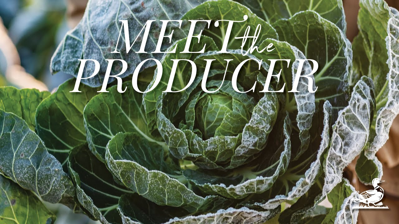 Meet the Producer: Darts Farm, Farm Shop | Country Living UK