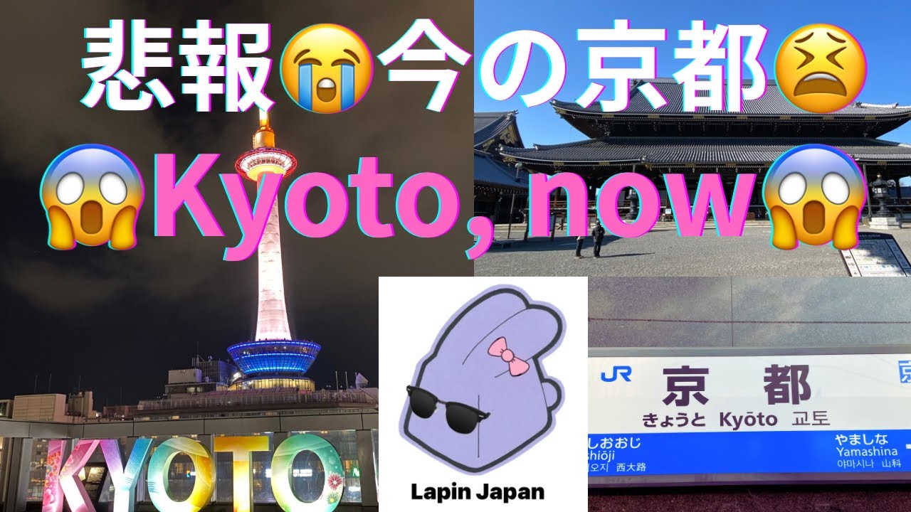 [京都🐰Kyoto] ダイワロイネット京都駅前プレミア泊　　今の京都ってこうなのぉ😱😱😱　Should know current Kyoto before you visit 🙄🙄🙄 #japan  