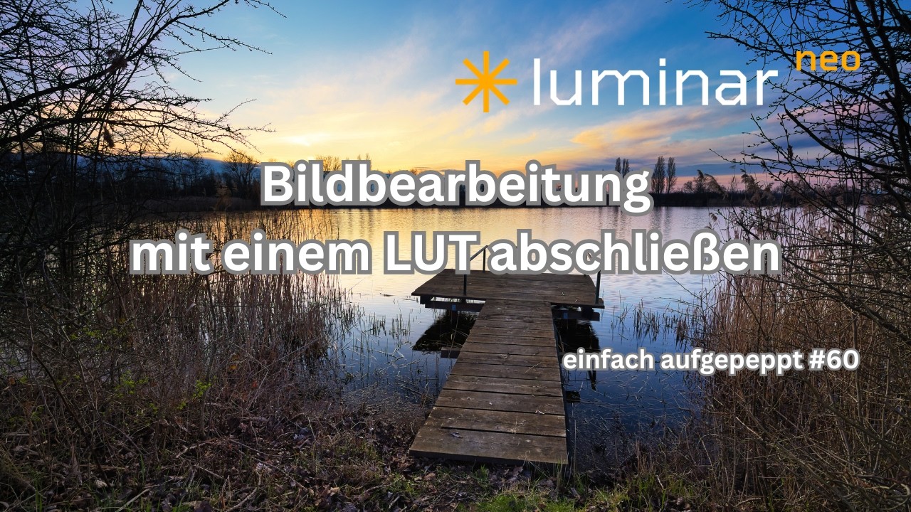 𝗟𝘂𝗺𝗶𝗻𝗮𝗿 𝗡𝗲𝗼 - LUT in der Bildbearbeitung verwenden I einfach aufgepeppt #60