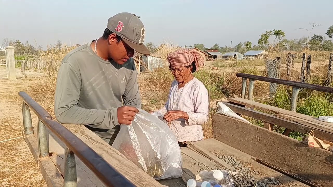 ដាក់បង្គោលរបងវ៉ៃក្ដារបាំងកុំអោយដីបាក់សារជាថ្មី