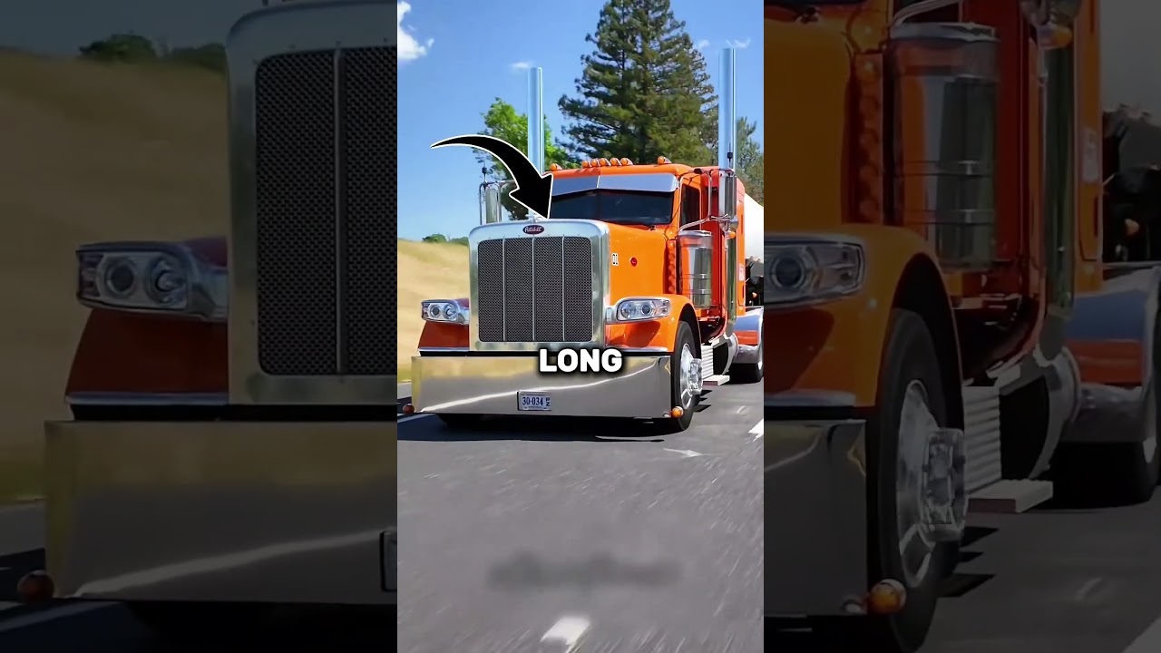 American Truck VS European Truck!