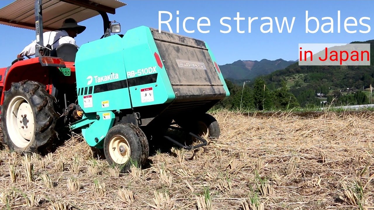 How the rice straw bales are made.