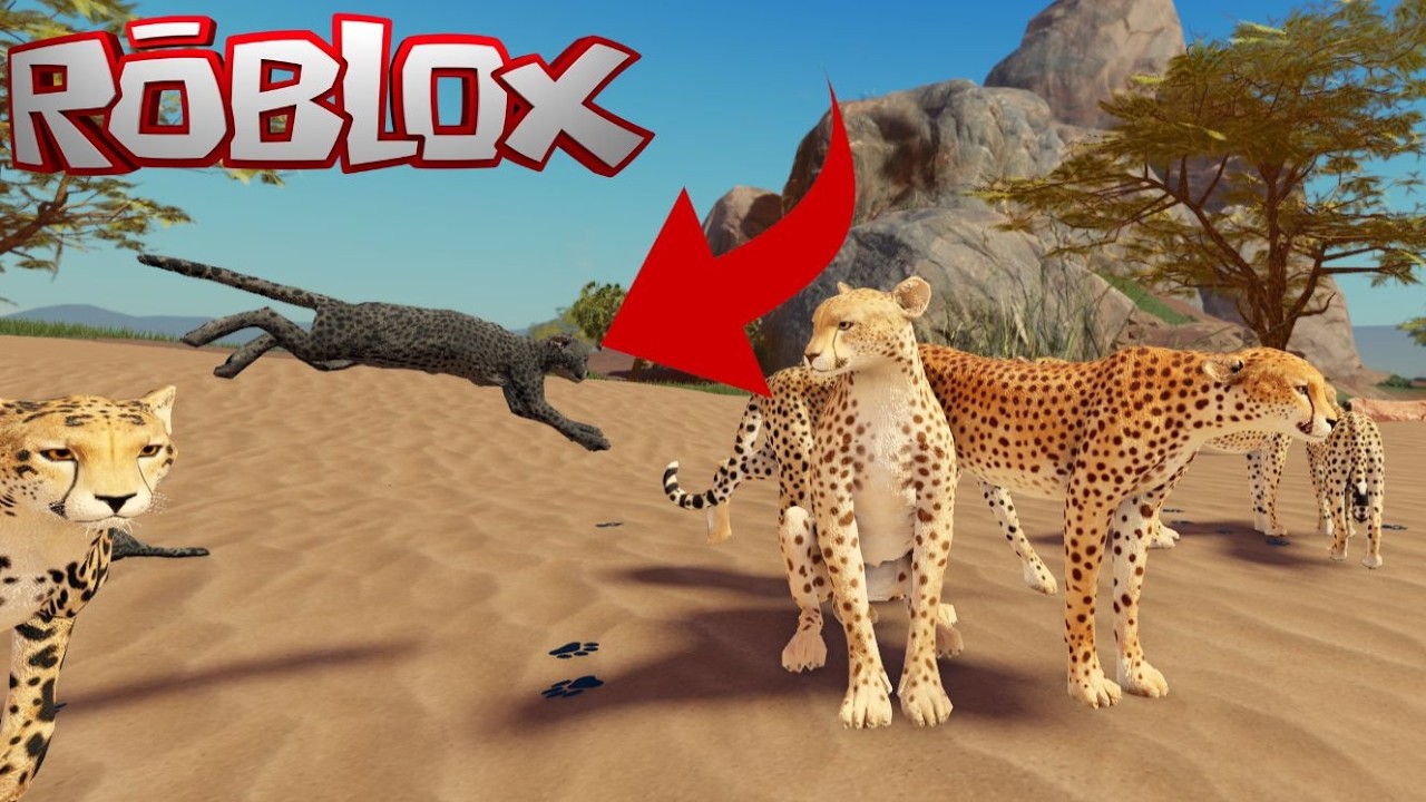 Jogando de GUEPARDO (CHEETAH) no SAVANNAH LIFE da ROBLOX #roblox #savannahlife