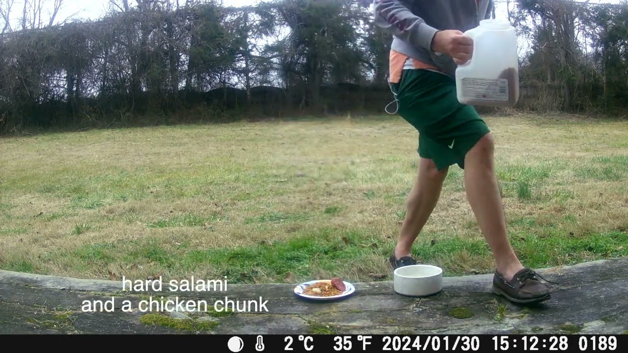 Game Camera - Front Porch Wildlife Fairfax County, Virginia!