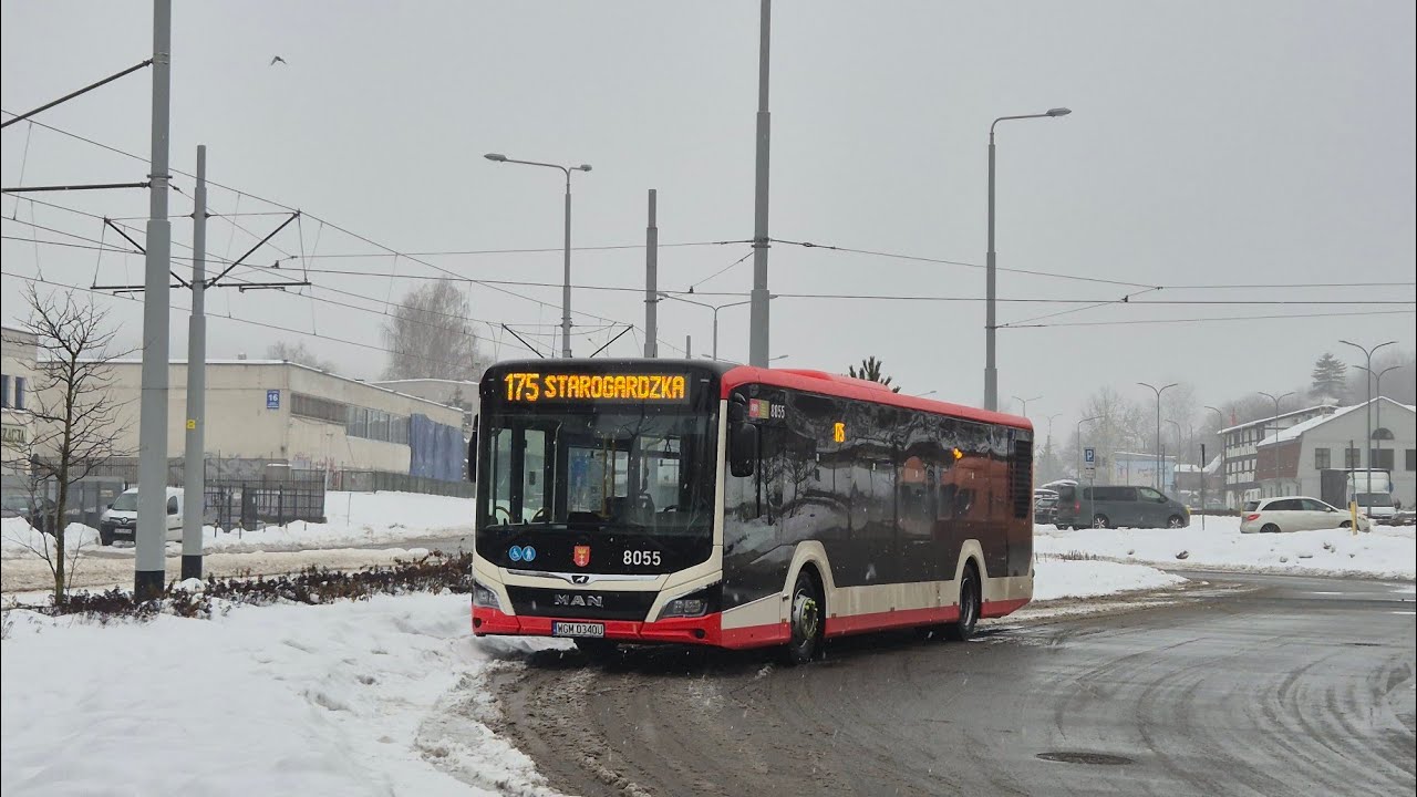 [ReloBus o. Gdańsk] MAN NL280 Lion's City 12 #8055 - linia 175, kierunek Starogardzka