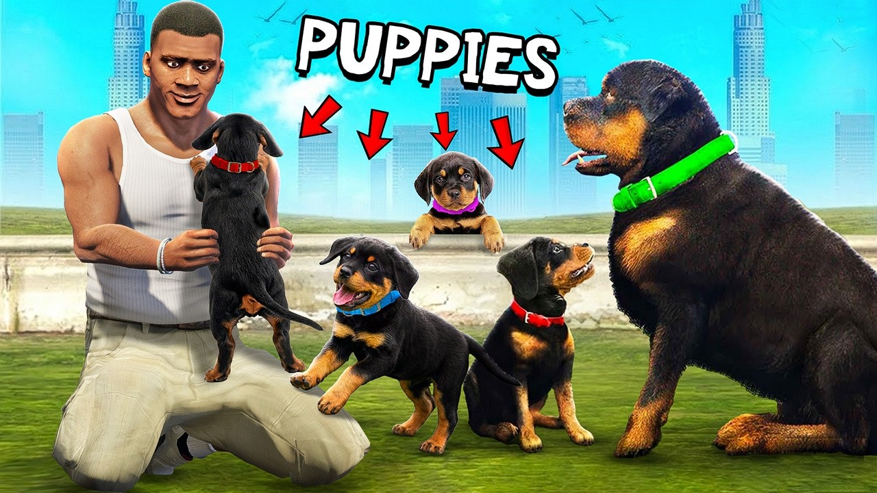 The Story Of CHOP’S PUPPIES In GTA 5