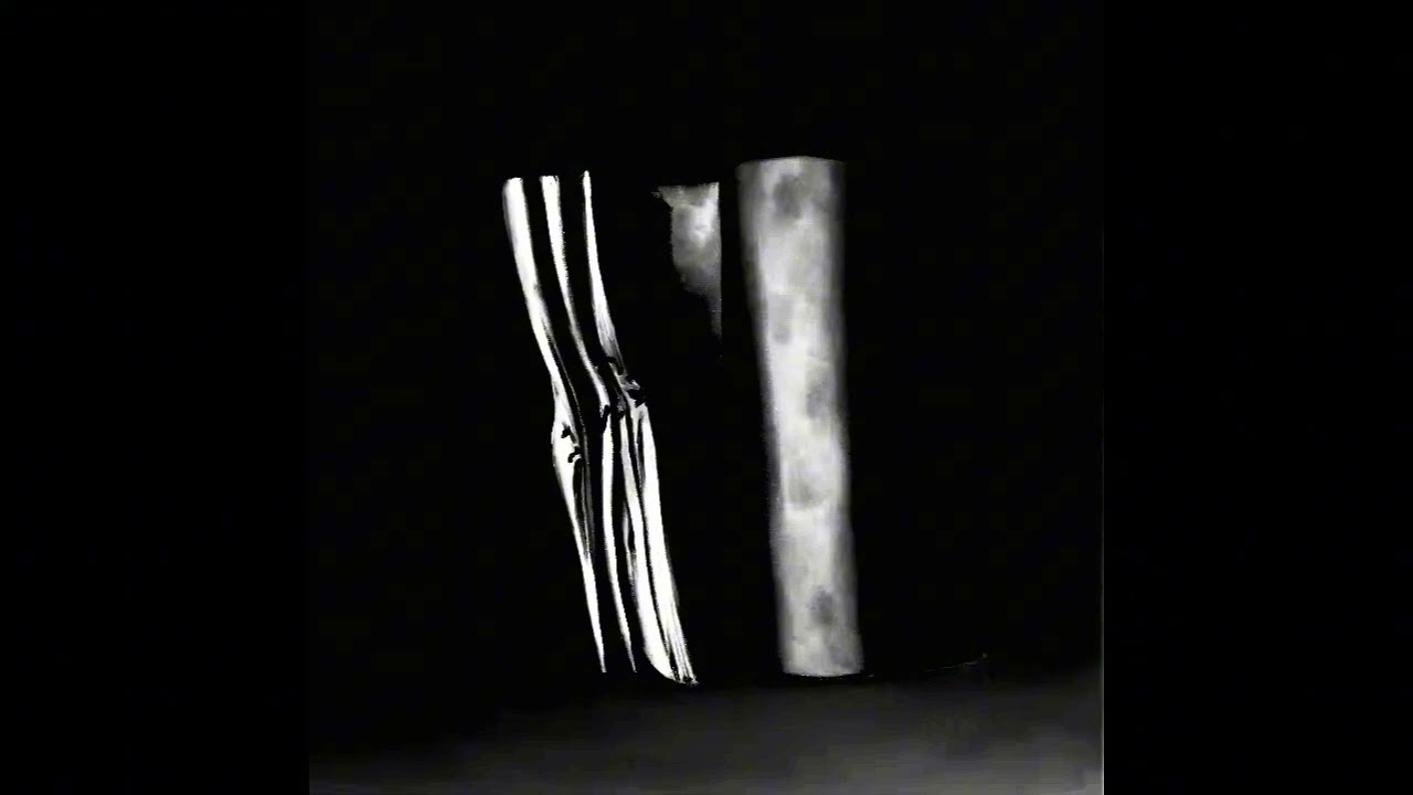 B4 - The loves of my entire life(hyper slowed + reverb) The Caretaker