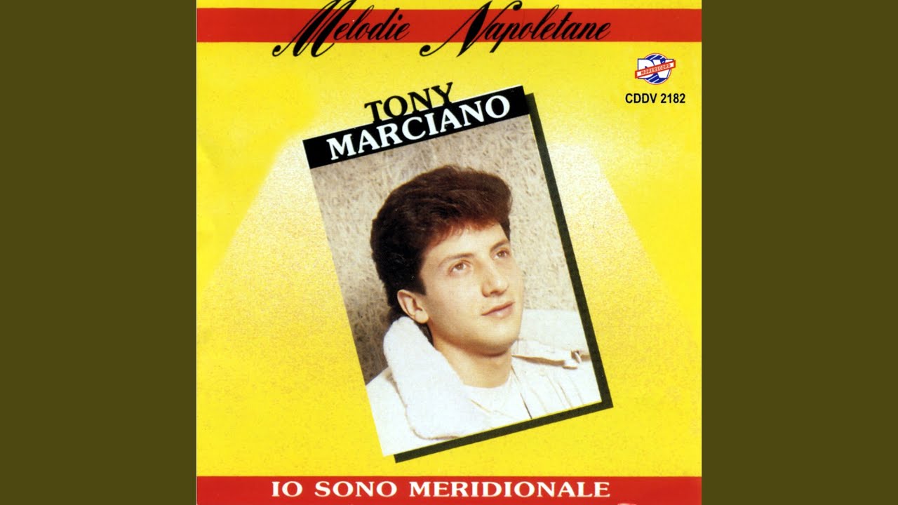 Si te perdo