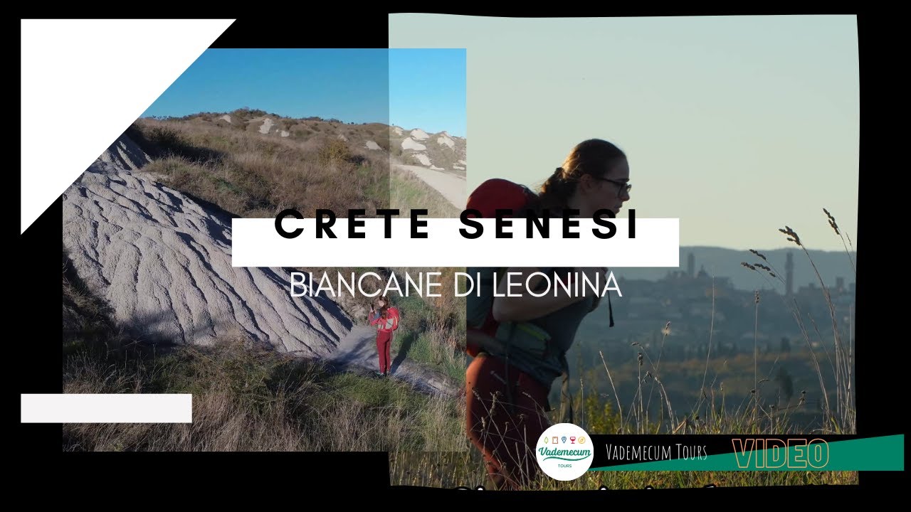 Crete senesi - Le Biancane di leonina