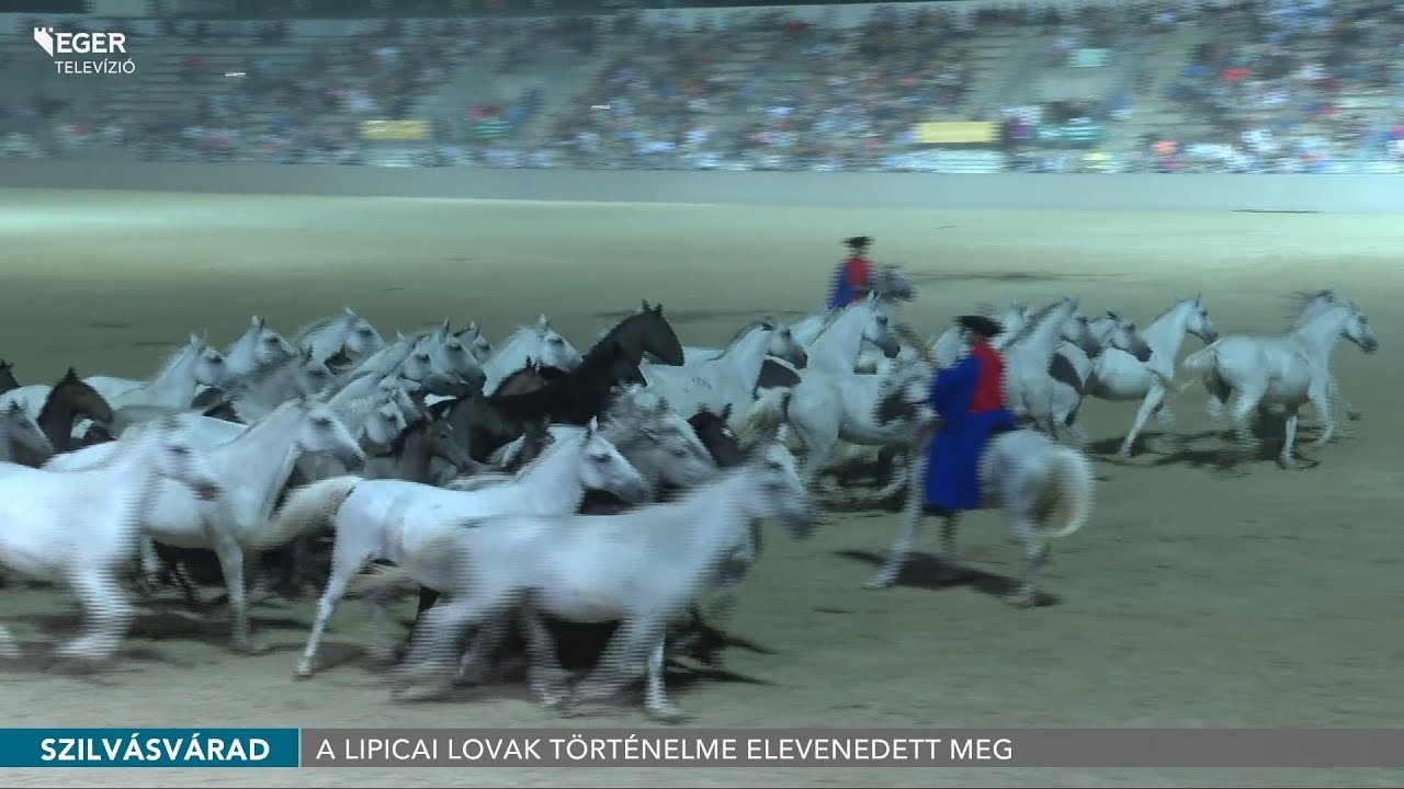 Lovasgála Szilvásváradon - 2023.08.21.