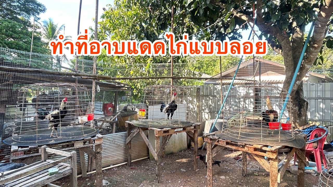 อาบแดดลอยฟ้า
