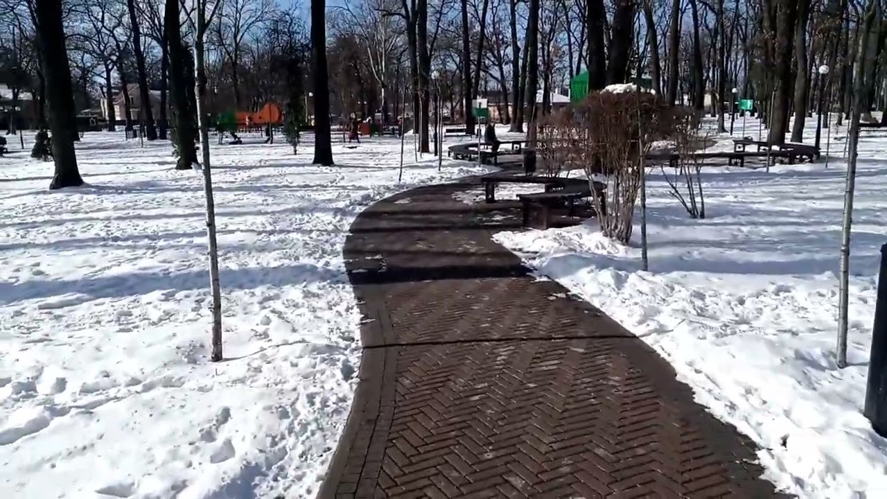 Зимний парк— сделано в Clipchamp