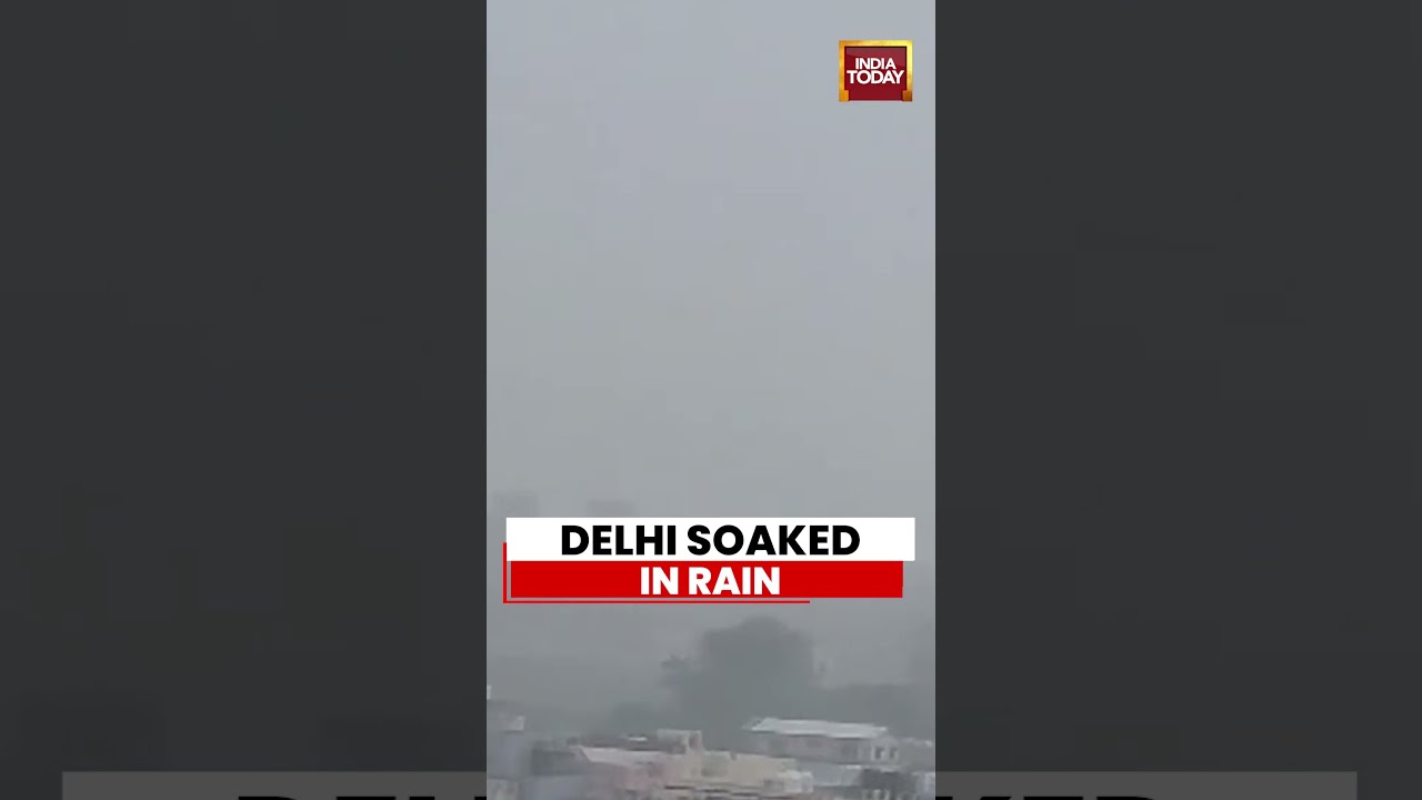 Delhi Rains Cool The Capital, Pleasant Weather Returns | Mayur Vihar | Monsoon