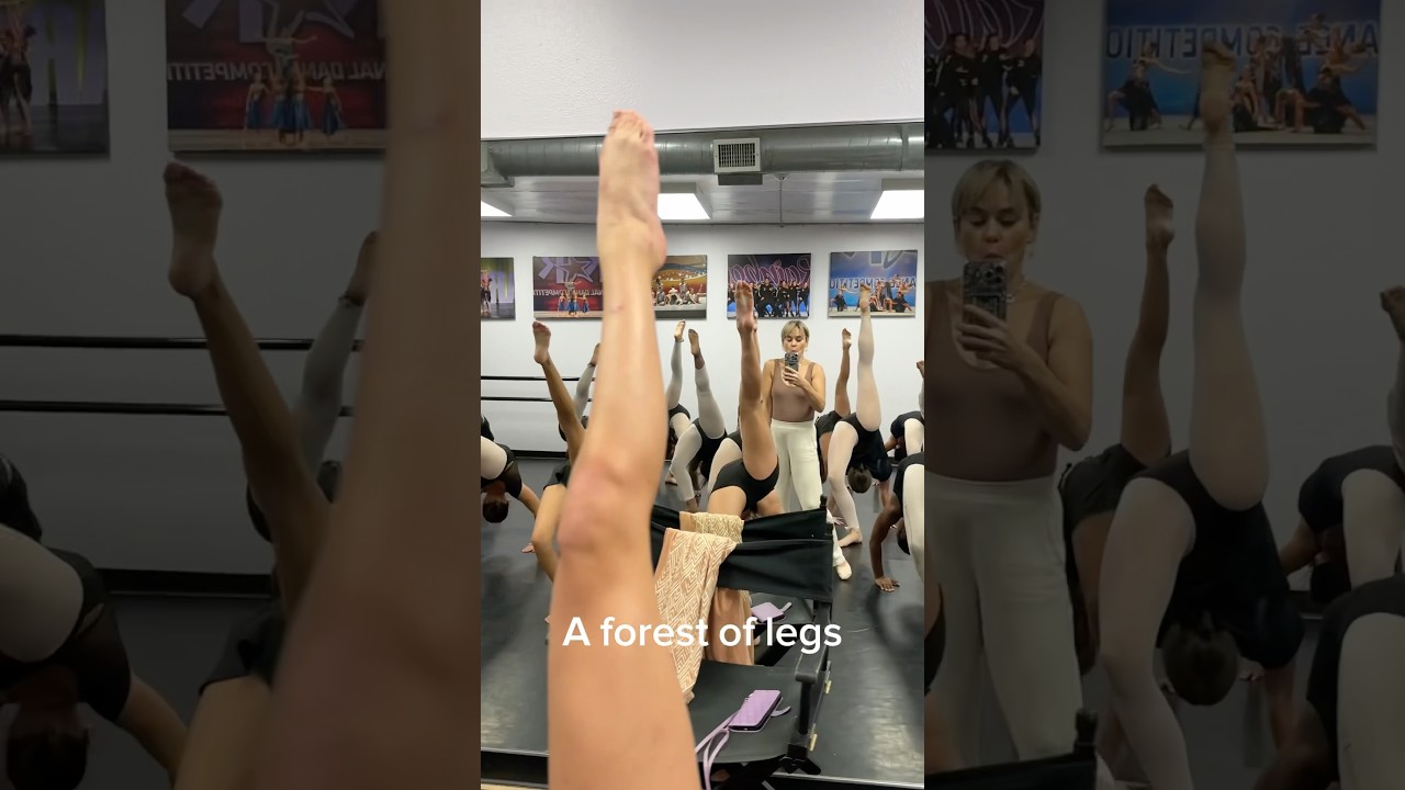 A forest of legs ❤️‍🔥