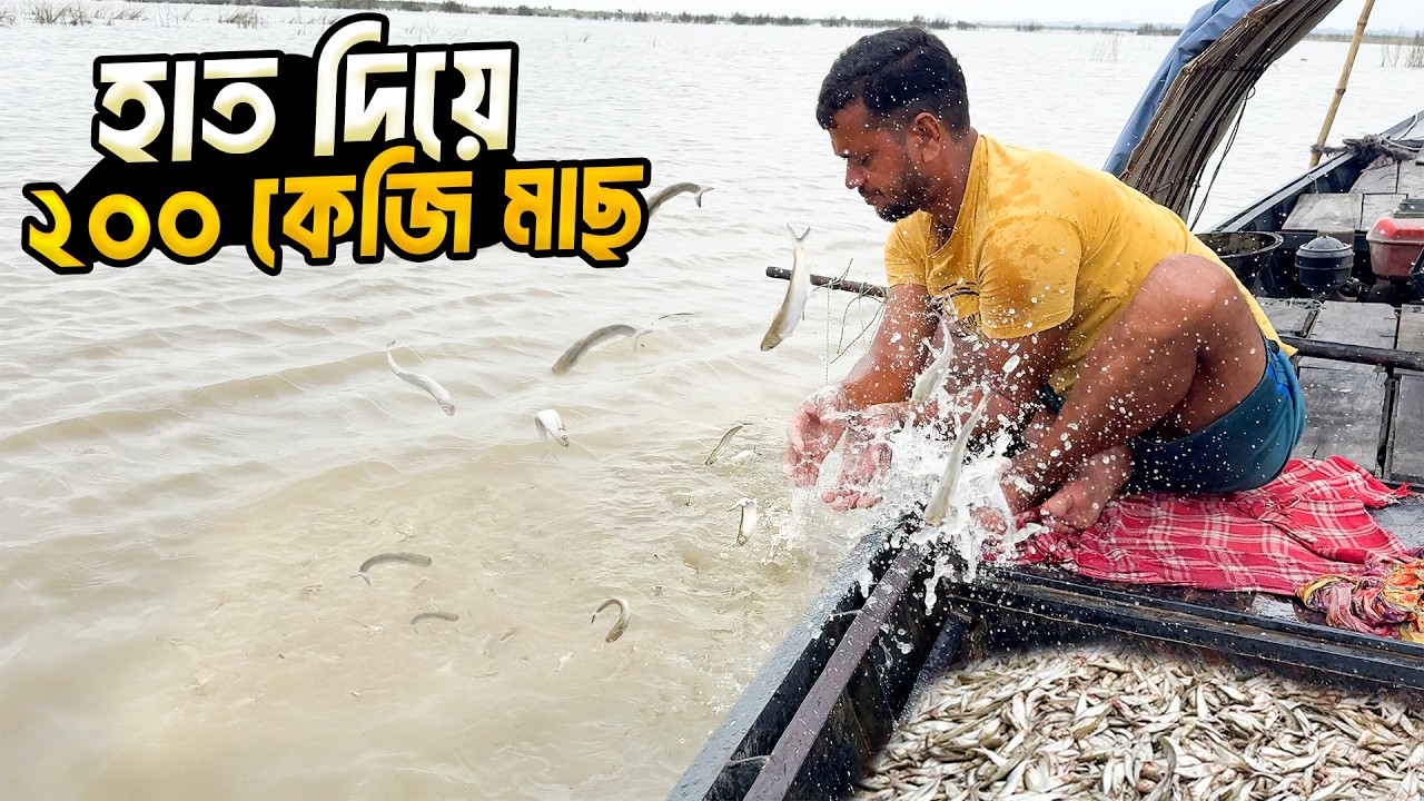 ঘাইড়ে মাছ ধরার অবিশ্বাস্য পদ্ধতি। Unbelievalabe Fishing Technique । দিনে ২০ কেজি মাছ