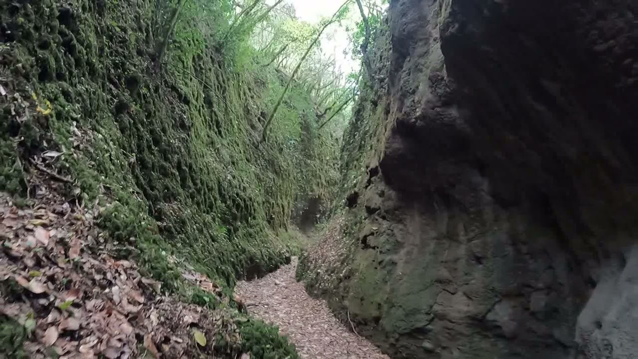 Δρυόδασος Φολόης - Φαράγγι των Κενταύρων - Centaurs gorge