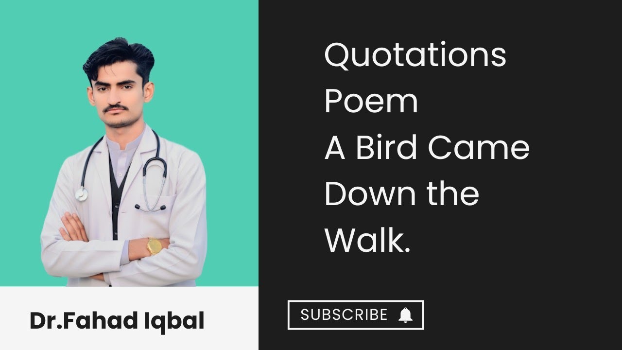 Quotations about poem A Bird Came Down the Walk!! First year poem quotations!! 