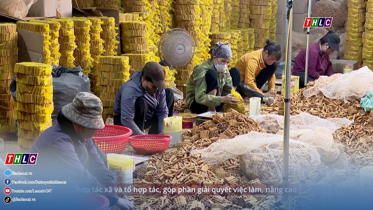 Bản tin tiếng Anh (4/3/2026)  | THLC