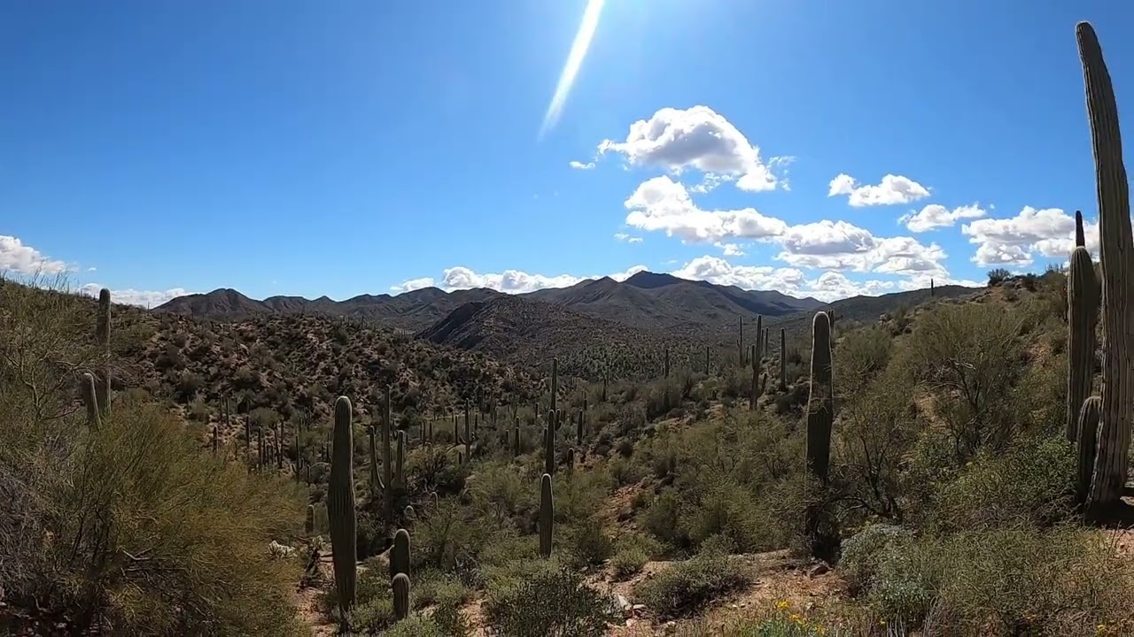 A Hike on a section of the Arizona Trail, and the Train