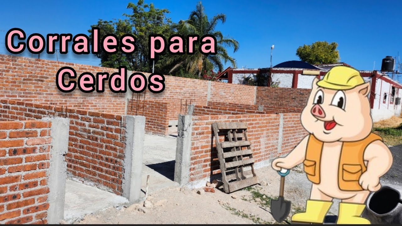 Así son las Medidas de los Corrales de mi Granja 🐖👍 | Vlog 25