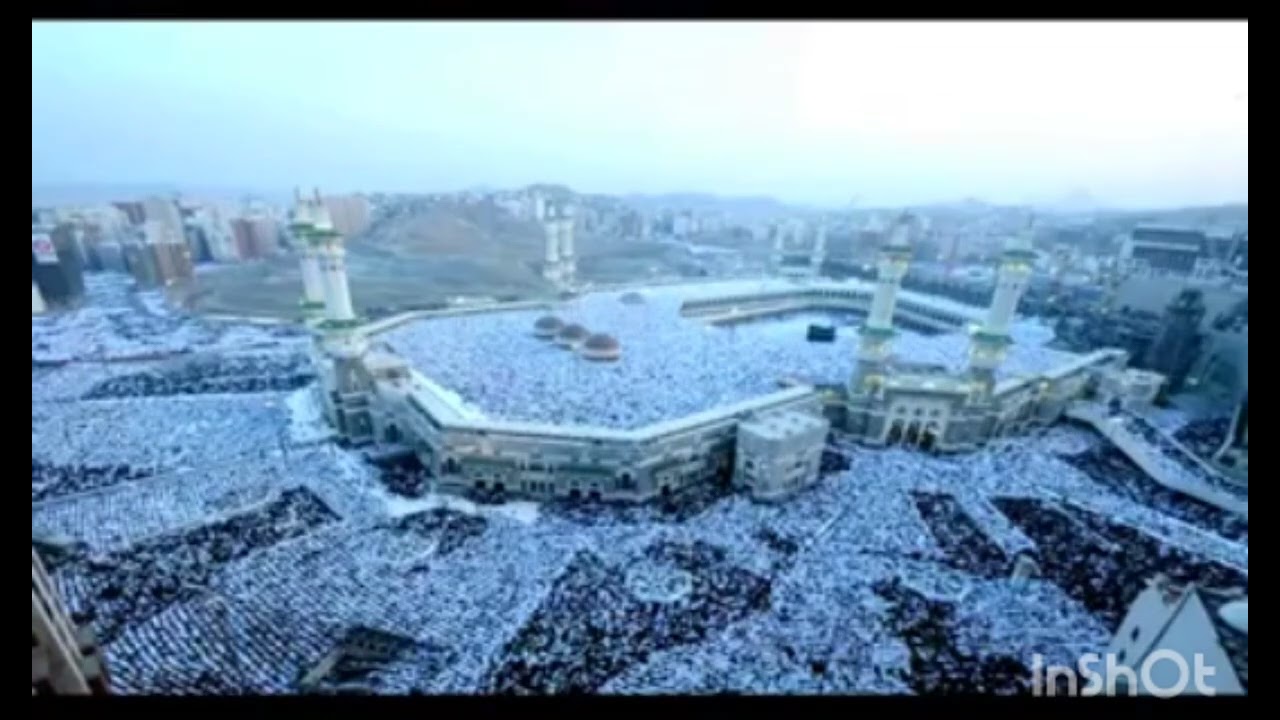 عجائب تلاوات أبي بكر الشاطري - فاطر
