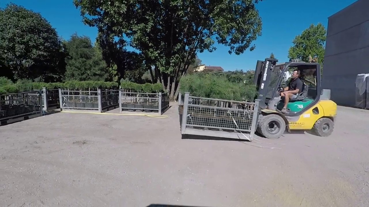 Capecchi Enio & Figli Vivai Piante Pistoia invasatura piante