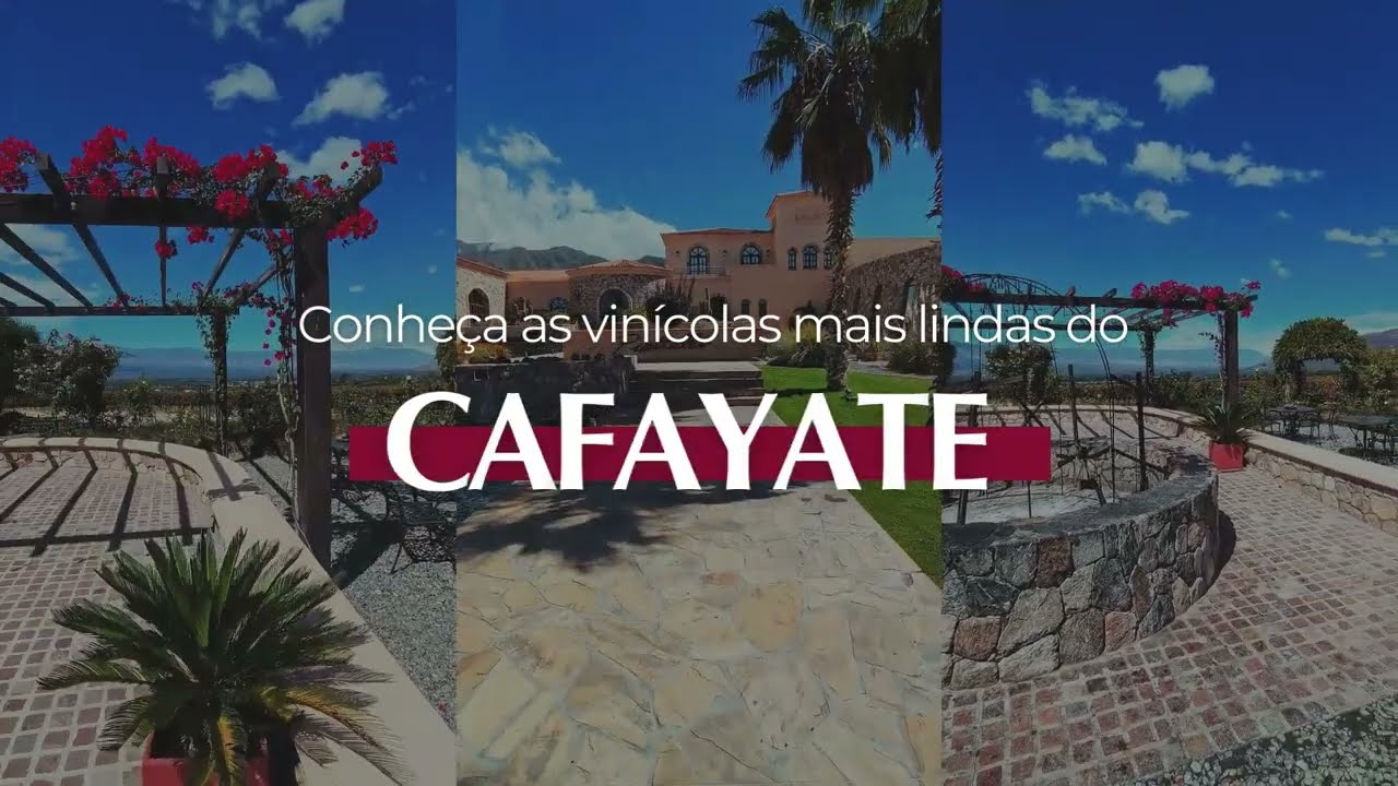 Conhe&ccedil;a a rota do vinhos no Cafayate - Salta
