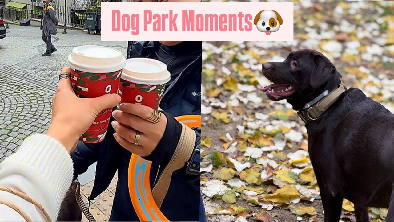 Dog Park Moments | Luna’s First Walk in Maçka