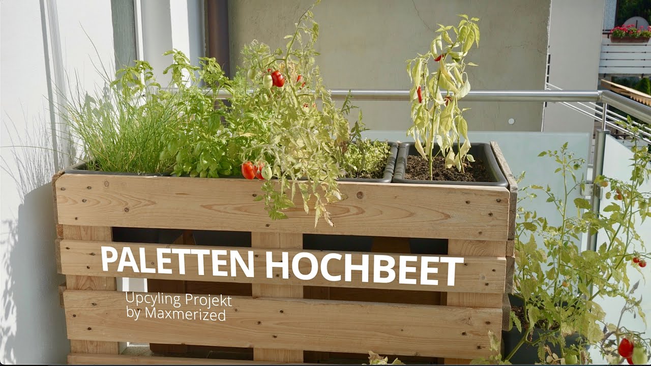 Hochbeet aus Paletten - DIY Balkon Upgrade