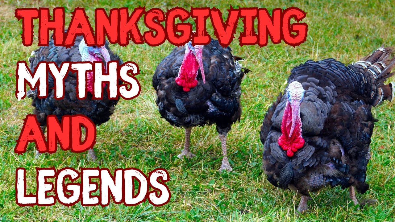 Unraveling Thanksgiving Tales: Debunking Myths and Exploring Legends