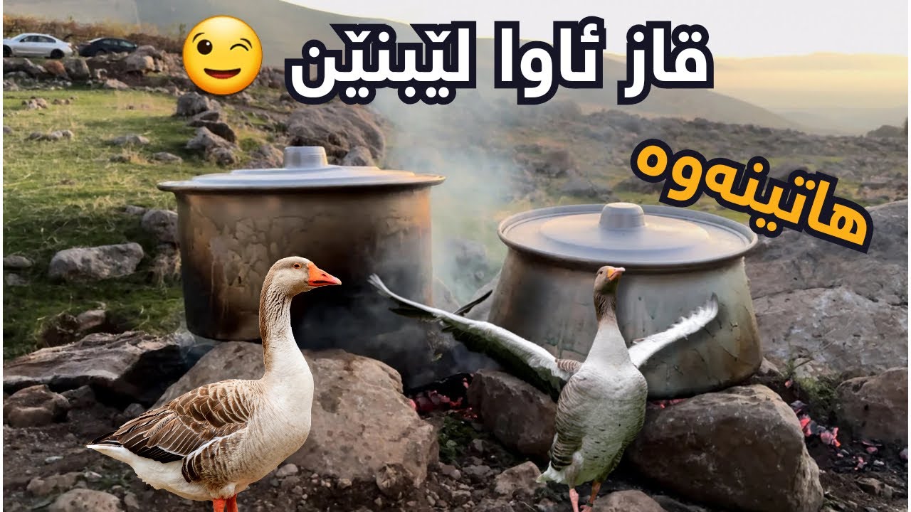 Cooking Goose in Village | چۆنیەتی لێنانی قاز بە ئاگری دار