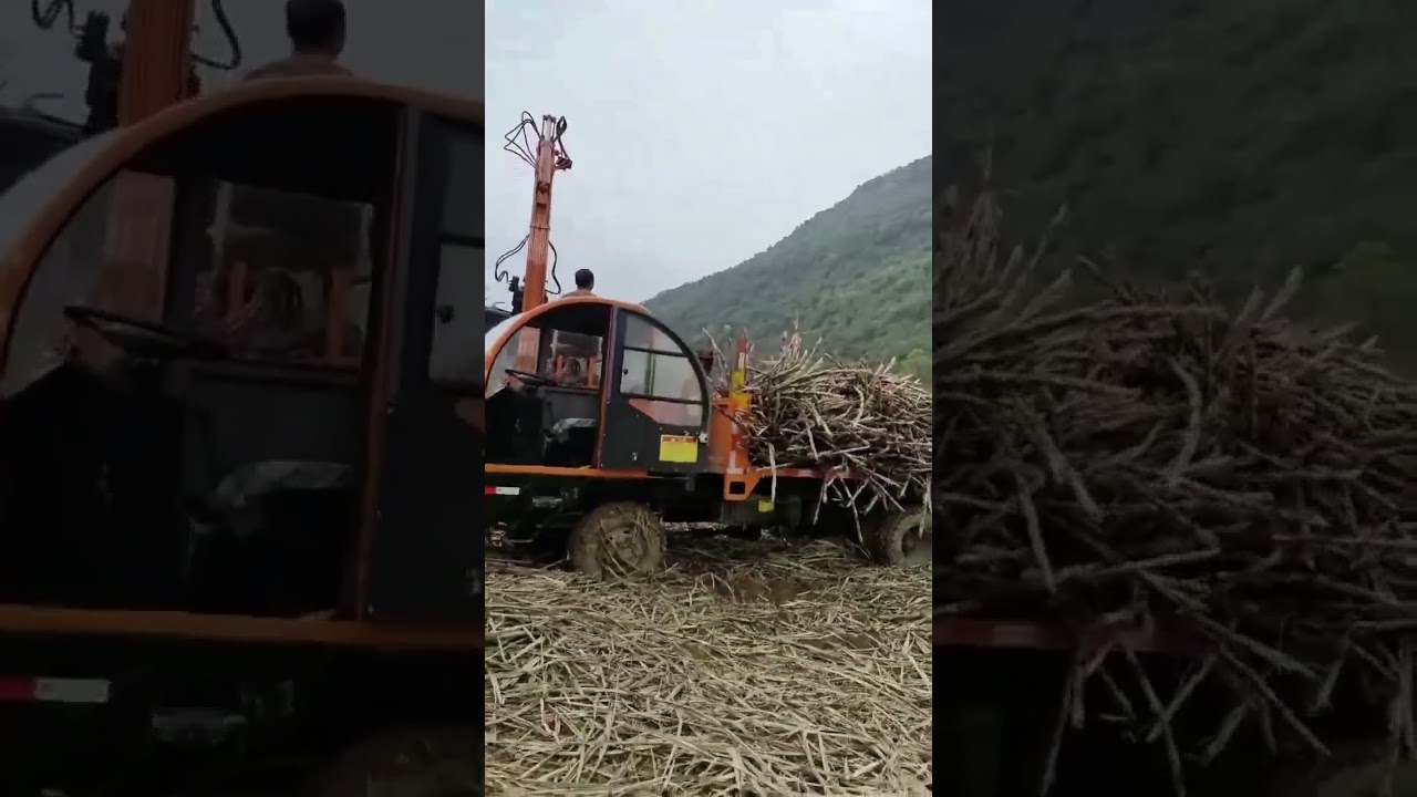 Wood grabber at work #music #live #song #excavator #crane #automobile #farming #machine