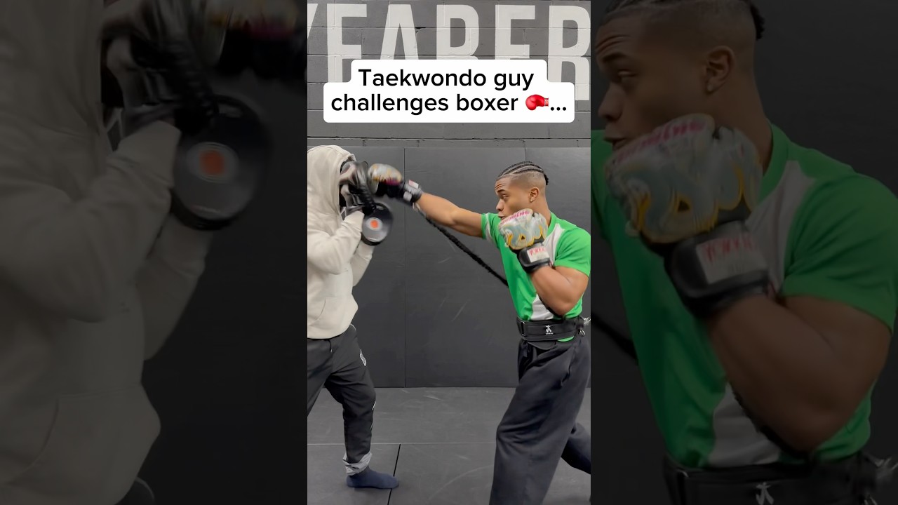 Taekwondo guy challenged a boxer, and this happened&hellip;