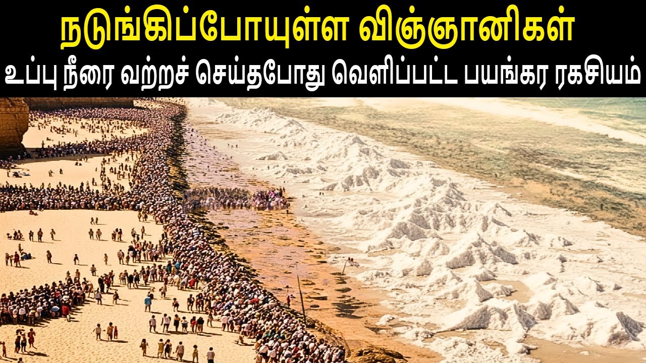 உப்பு நீரை வற்றச் செய்தபோது வெளிப்பட்ட பயங்கர ரகசியம் | நடுங்கிப்போயுள்ள விஞ்ஞானிகள் | In Tamil