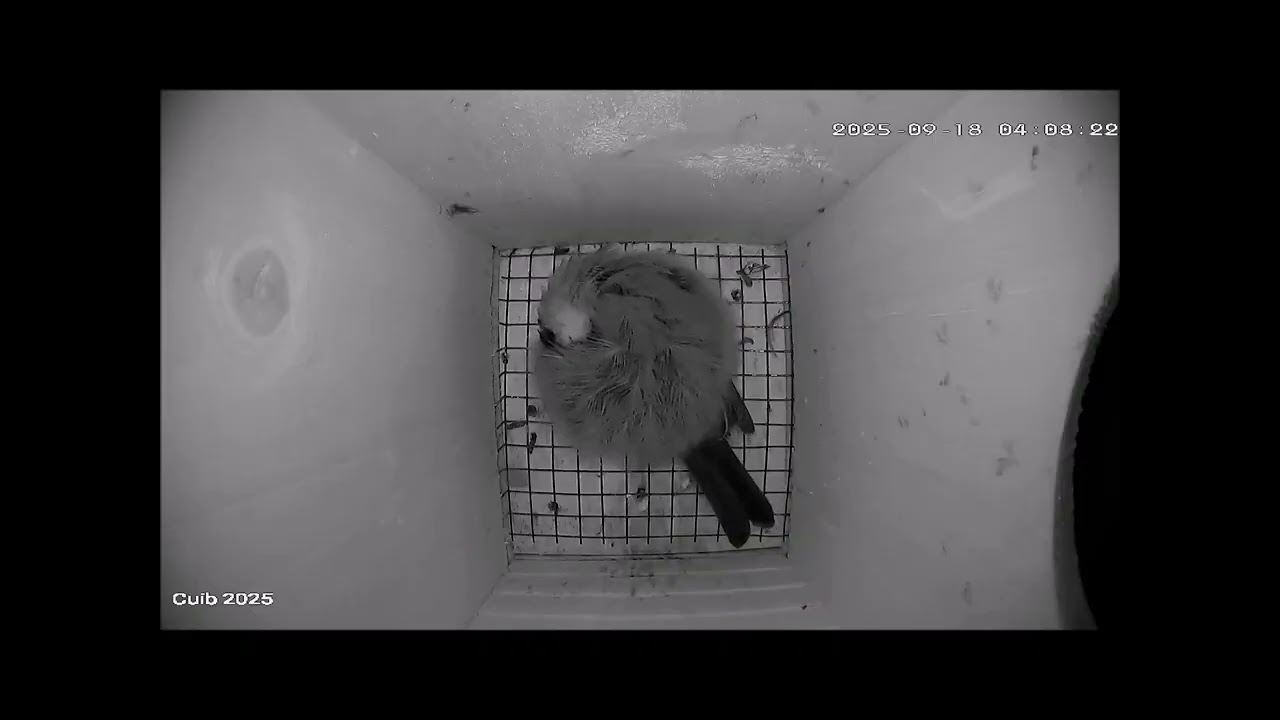 Adăpost de toamnă  pe 18 septembrie 2025