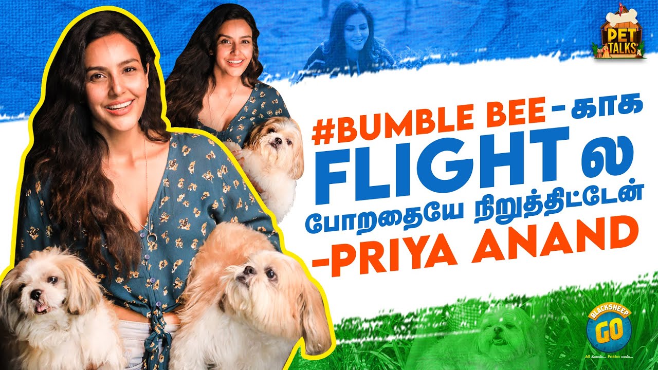 இவனுக்காக Flight -ல போறதையே நிறுத்திட்டேன் - Priya Anand | Pet Talks | Blacksheep Go
