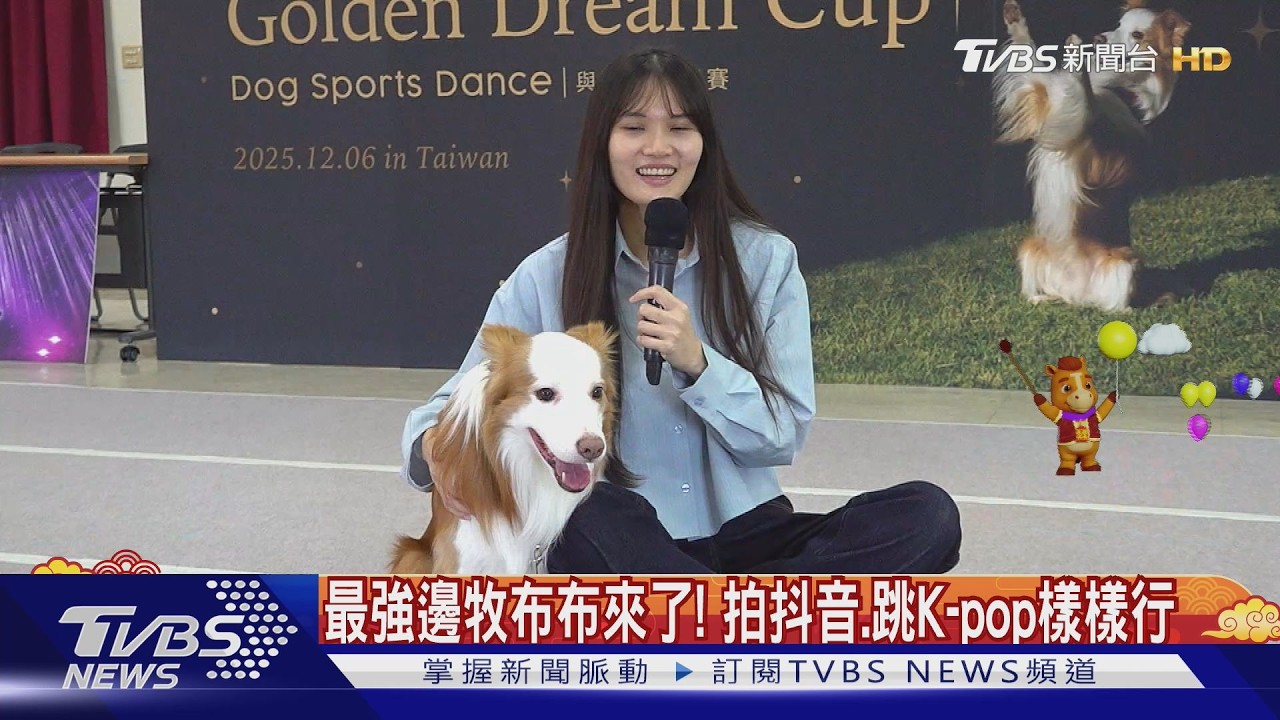 最會跳舞的邊牧!布布自拍短影音「破2000萬觀看」　訓犬師珺珺曝秘訣｜TVBS新聞 @TVBSNEWS02