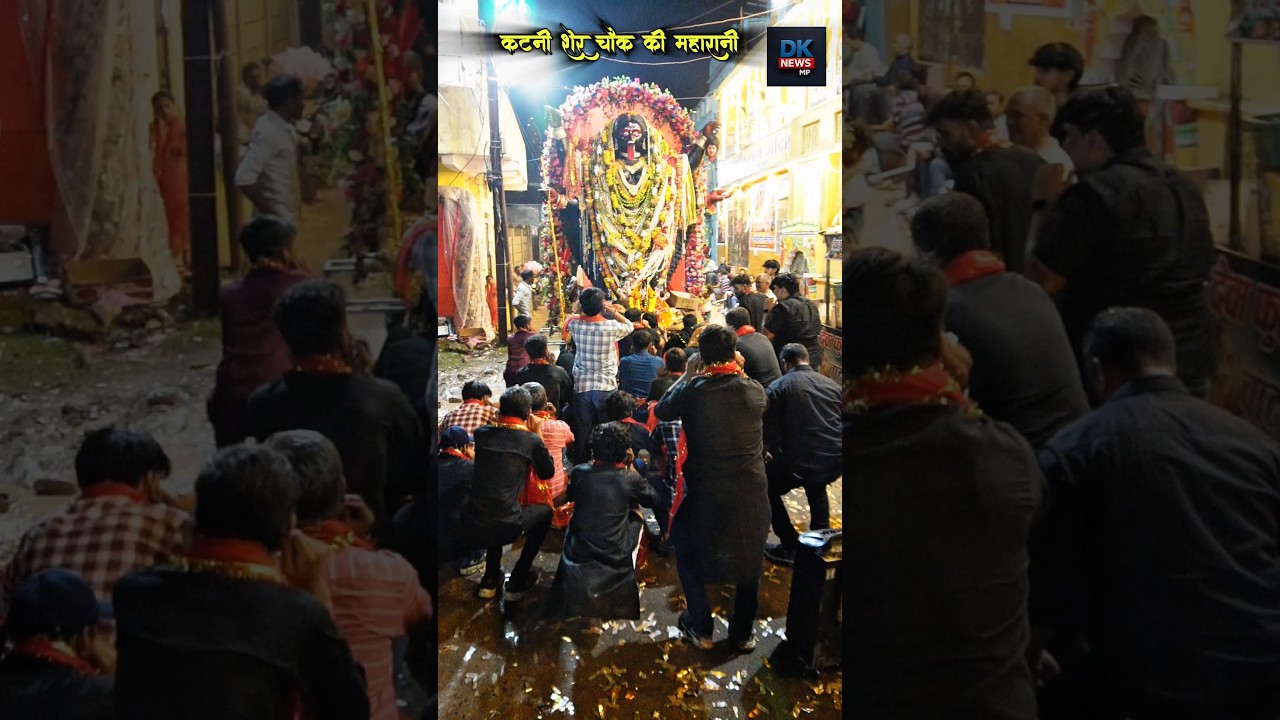 शेर चौक कटनी की महारानी! #katninews ##katnimp21 ##katni ##navratri2025 #navratripuja #navratrivibes