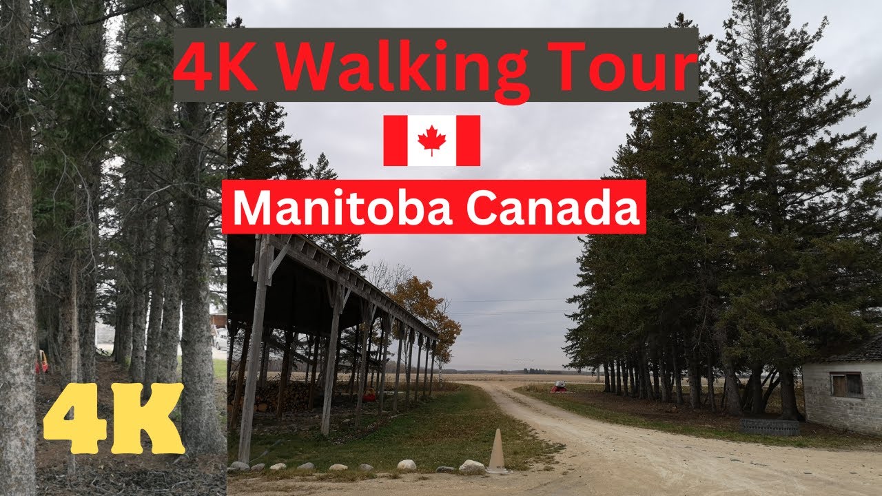 Walking Countryside Tour || Manitoba Petersfield