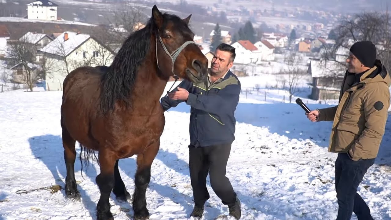 MOJ RUBIN IMA DVA SRCA