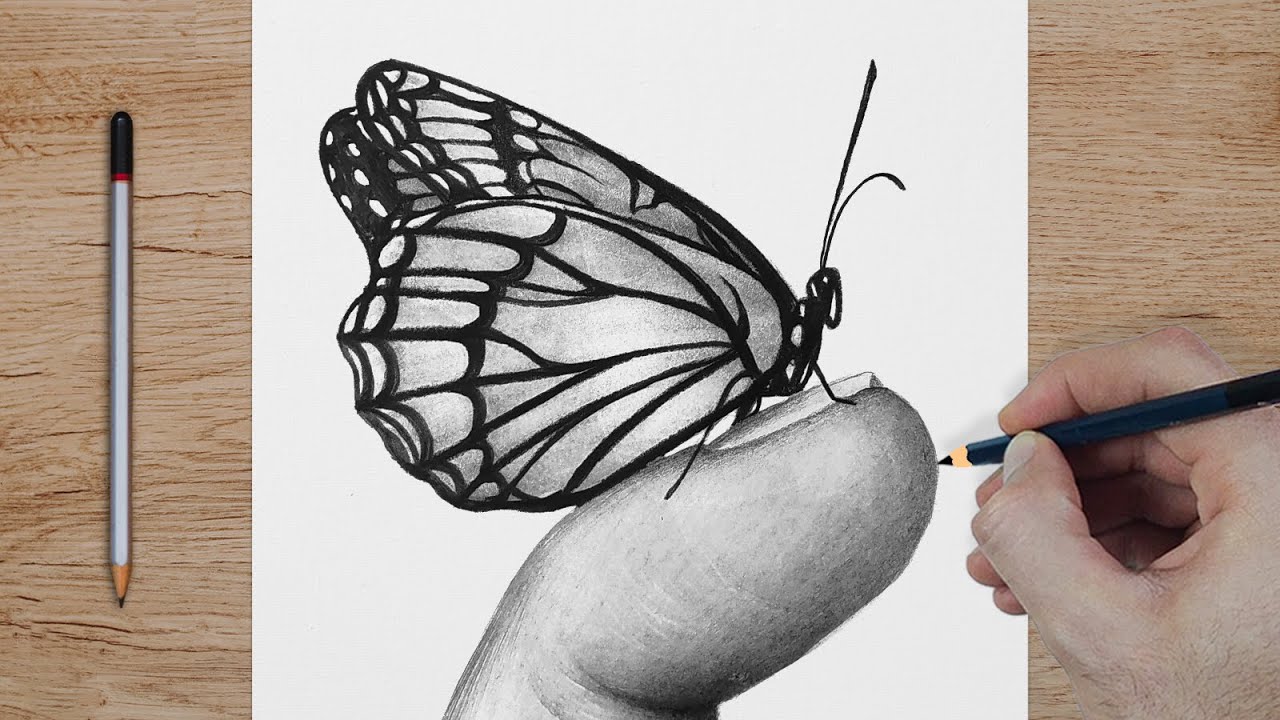 Drawing - How To Draw a Butterfly on the finger - Pencil Sketch Drawing Butterfly