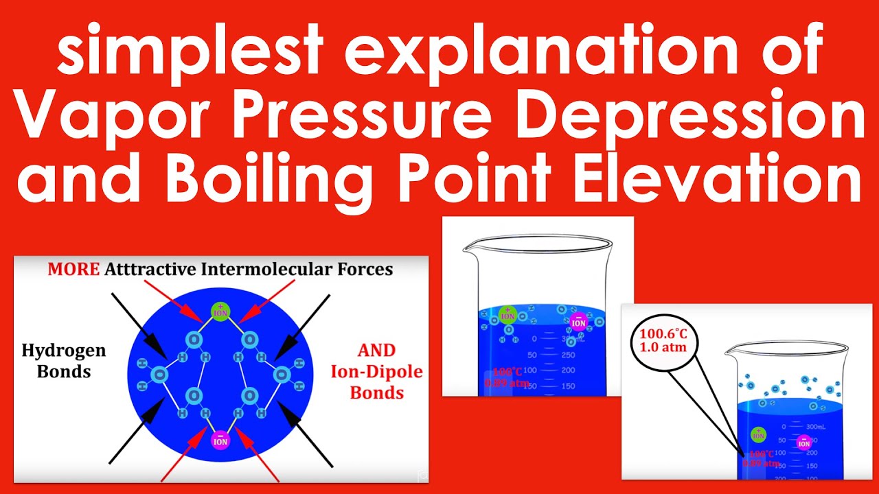 Simplest Way To Understand Boiling Point Elevation & Vapor Pressure Depression